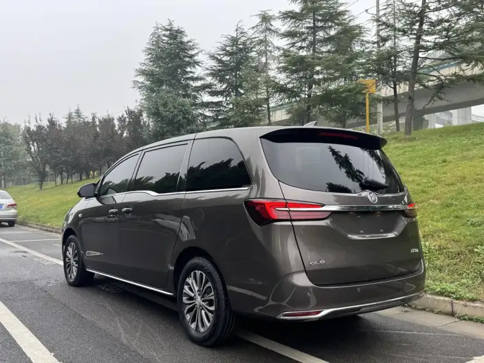 Buick GL8 2023 Model Business class 2.0T Luxury Model – фото 5