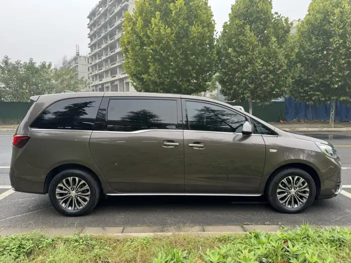 Buick GL8 2023 Model Business class 2.0T Luxury Model – фото 8