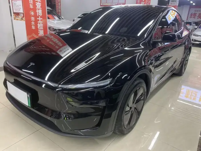 Model Y 2025 Model Rear-wheel drive version – фото 1