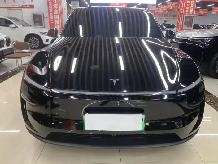 Model Y 2025 Model Rear-wheel drive version – фото 2