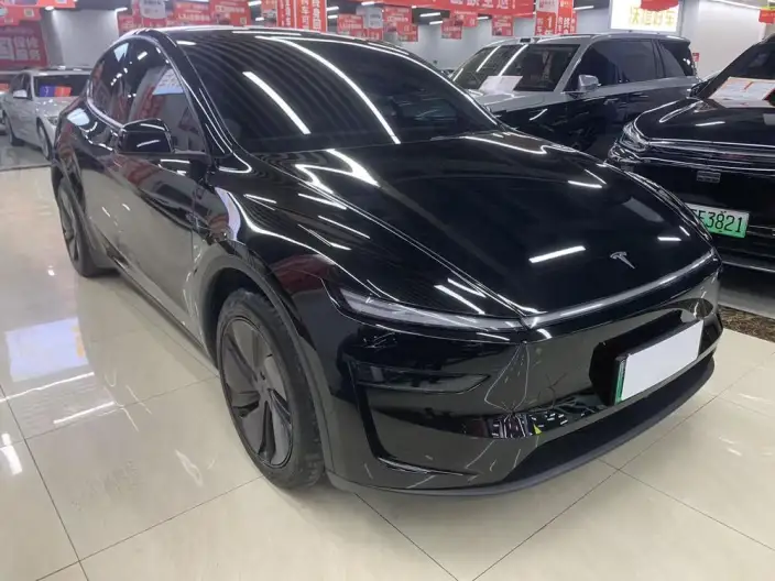 Model Y 2025 Model Rear-wheel drive version – фото 3