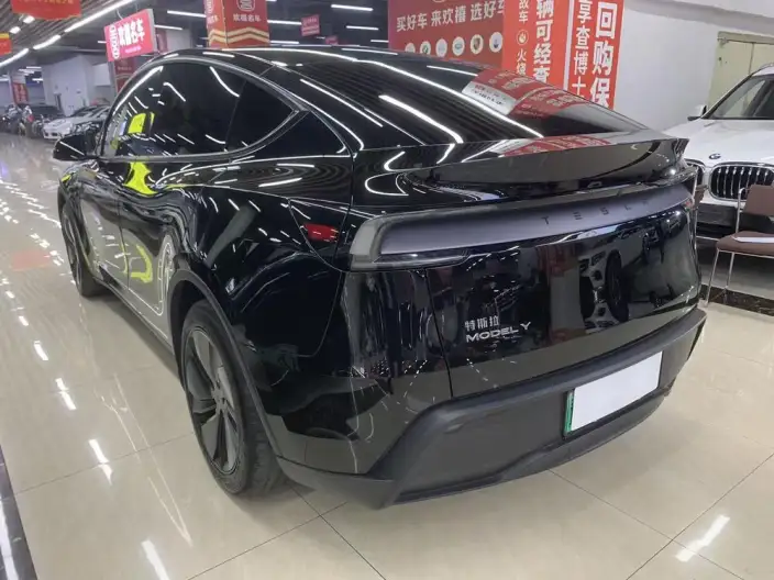 Model Y 2025 Model Rear-wheel drive version – фото 4