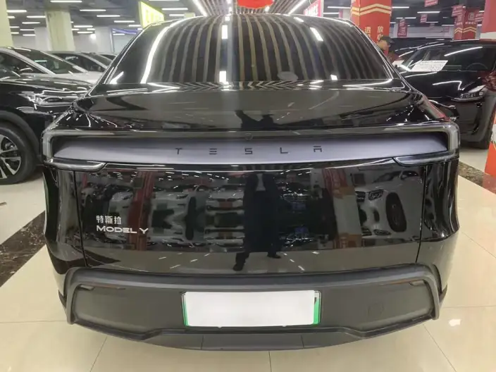 Model Y 2025 Model Rear-wheel drive version – фото 5