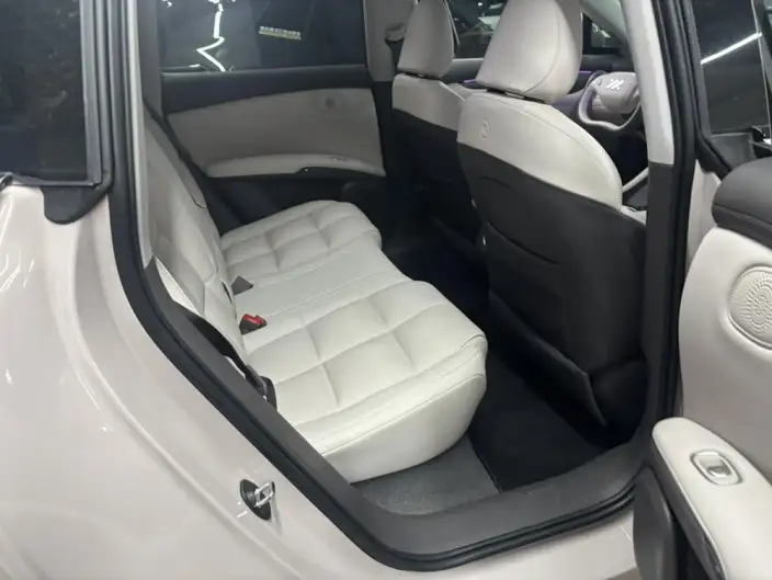 IM LS6 2023 Model Max Standard Edition – фото 5