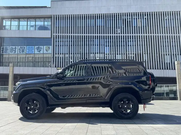 Tank 400 2025 Model 2.0T Gasoline Edition