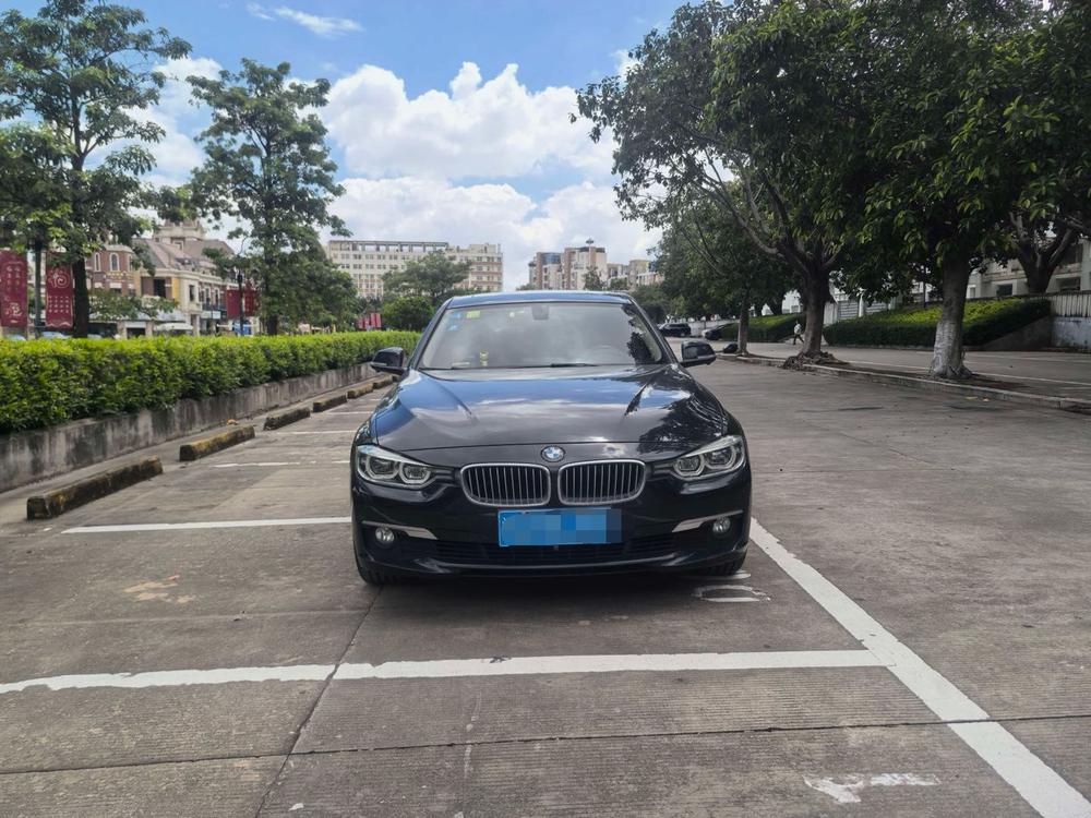 BMW 3 Series 2018 320Li Style – фото 2