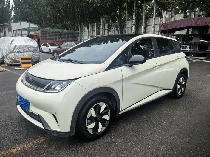 BYD Dolphin 2024 Model Honor Edition 420km Free Edition