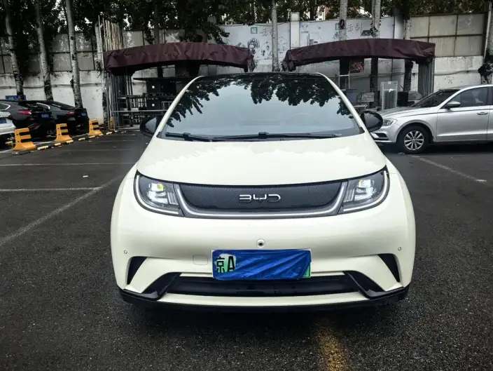 BYD Dolphin 2024 Model Honor Edition 420km Free Edition