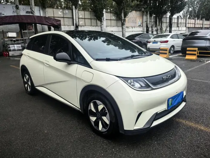 BYD Dolphin 2024 Model Honor Edition 420km Free Edition