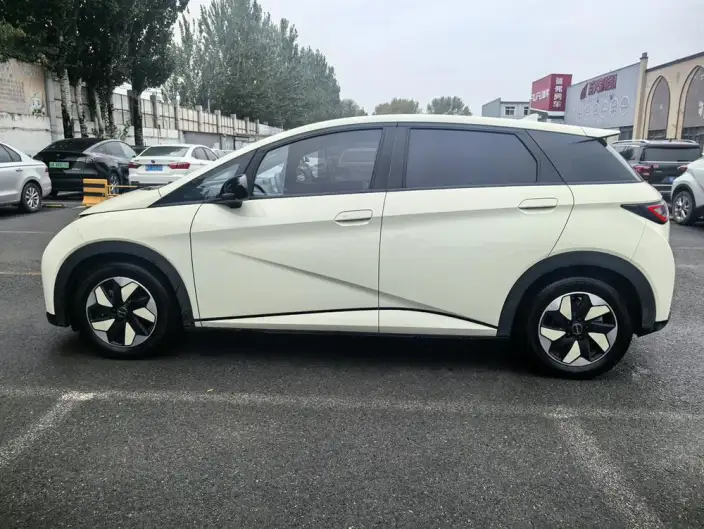 BYD Dolphin 2024 Model Honor Edition 420km Free Edition