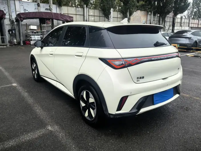 BYD Dolphin 2024 Model Honor Edition 420km Free Edition – фото 5