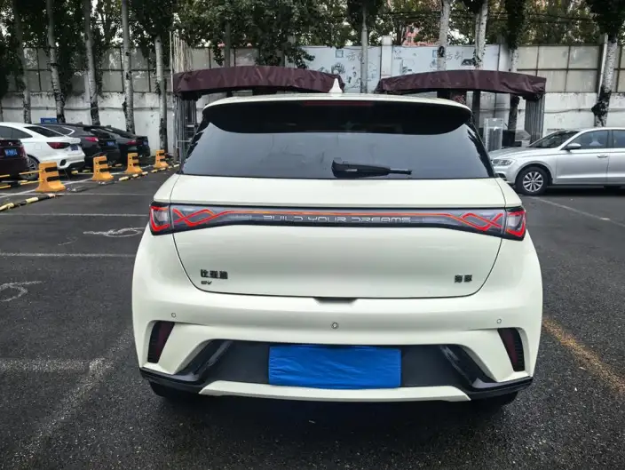 BYD Dolphin 2024 Model Honor Edition 420km Free Edition – фото 6