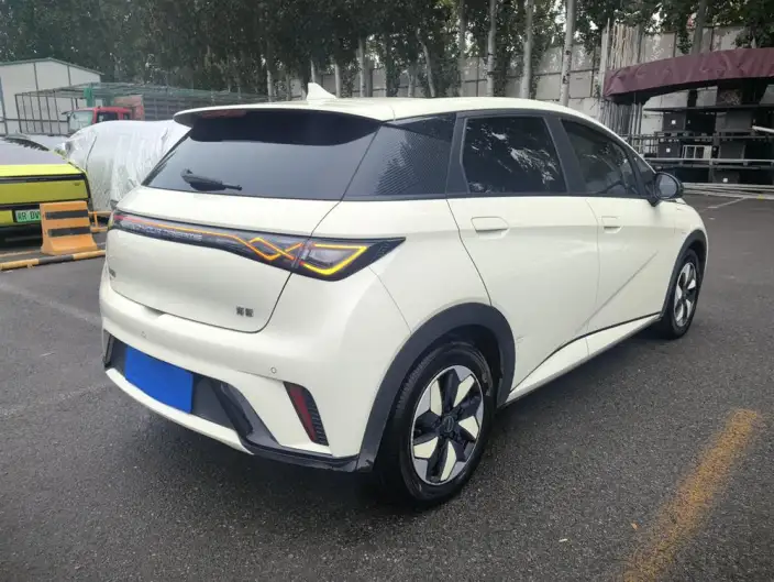 BYD Dolphin 2024 Model Honor Edition 420km Free Edition – фото 7