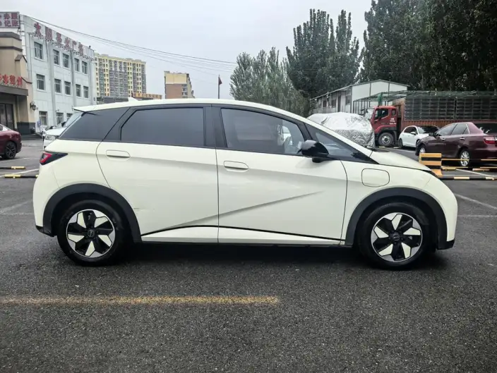 BYD Dolphin 2024 Model Honor Edition 420km Free Edition – фото 8