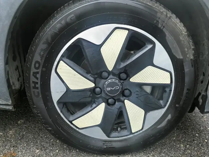 BYD Dolphin 2024 Model Honor Edition 420km Free Edition – фото 10