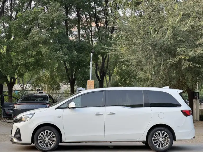 Buick GL8 2023 Model ES Luzun 2.0T Exclusive Model – фото 4
