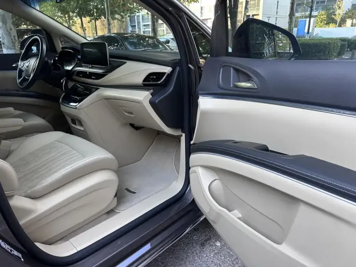 Buick GL8 2023 Model Business class 2.0T Luxury Model – фото 8