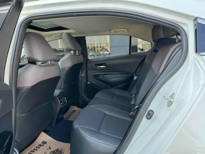 Asia Lion 2021 Model 2.0L Exclusive Edition – фото 9