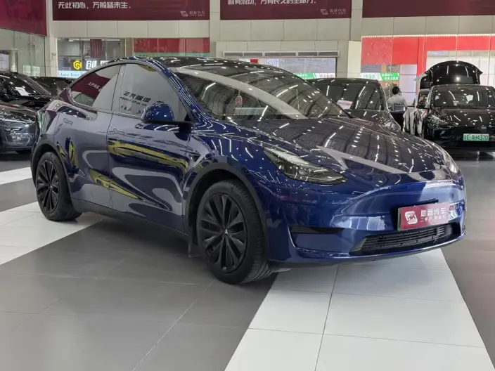 Model Y 2022 Model Rear-wheel drive version – фото 3