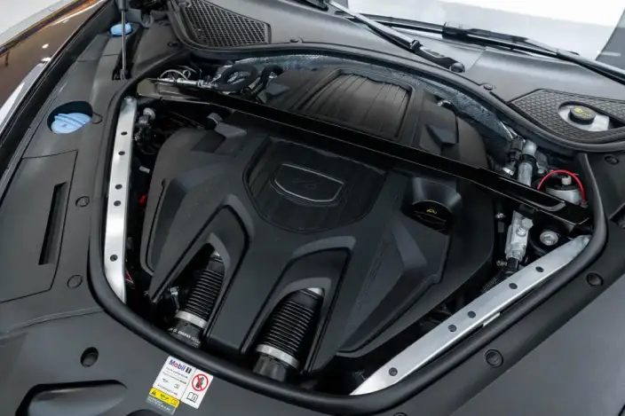 Panamera 2023 Model Panamera 2.9T Platinum edition – фото 9