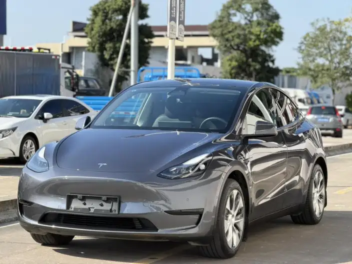Model Y 2022 Model Facelift Rear-wheel drive version – фото 1