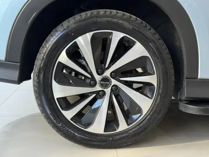 BYD Song PLUS DM 2023 Model DM-i Champion Edition 110KM Flagship PLUS – фото 6