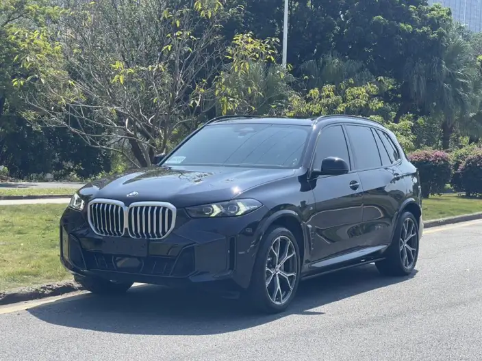 BMW X5 2023 Model xDrive30Li Exclusive Model M Sports Night Set – фото 1