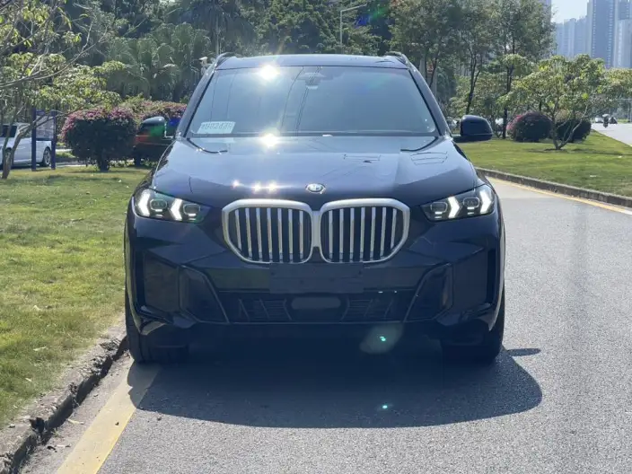 BMW X5 2023 Model xDrive30Li Exclusive Model M Sports Night Set – фото 2
