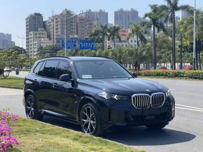 BMW X5 2023 Model xDrive30Li Exclusive Model M Sports Night Set – фото 3