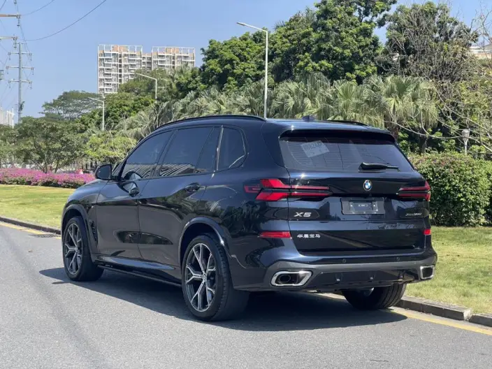 BMW X5 2023 Model xDrive30Li Exclusive Model M Sports Night Set – фото 4