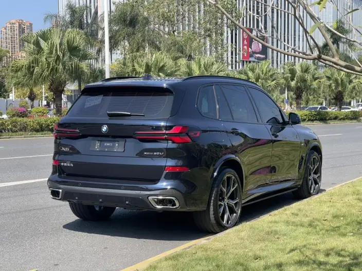 BMW X5 2023 Model xDrive30Li Exclusive Model M Sports Night Set – фото 6