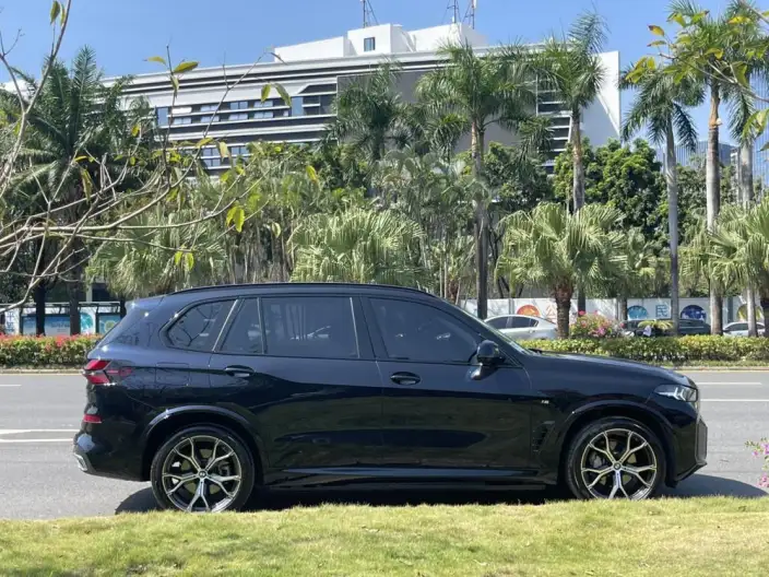 BMW X5 2023 Model xDrive30Li Exclusive Model M Sports Night Set – фото 7