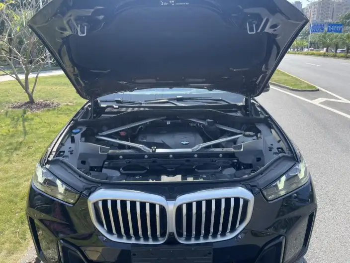 BMW X5 2023 Model xDrive30Li Exclusive Model M Sports Night Set – фото 8