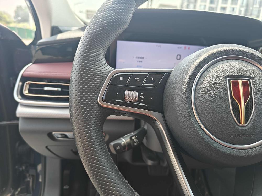 Hongqi H5 2024 2.0T Automatic Smart Enjoy Link Flag Link Edition – фото 28