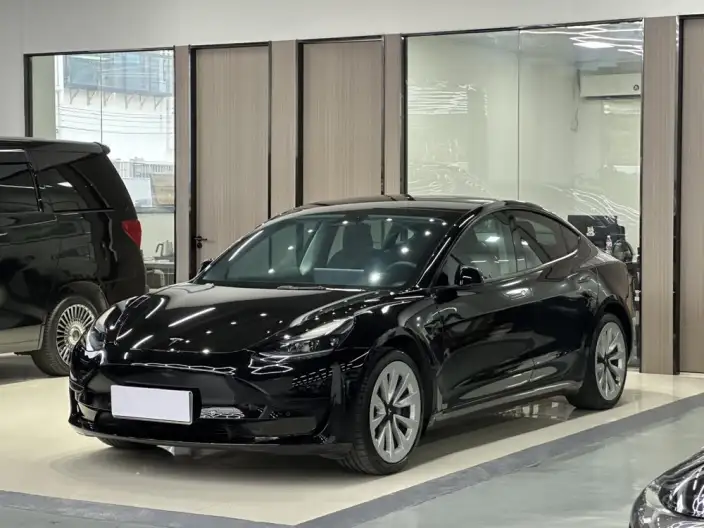 Model 3 2022 Model Rear-wheel drive version – фото 1