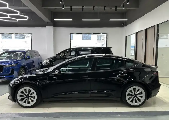 Model 3 2022 Model Rear-wheel drive version – фото 3