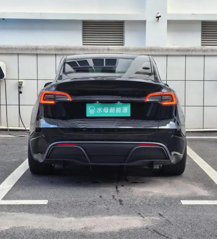 Model Y 2022 Model Performance High performance All-wheel drive version – фото 5