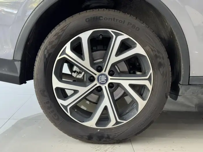 BYD Tang DM 2025 Model DM-i 115KM Zunrong Model – фото 6