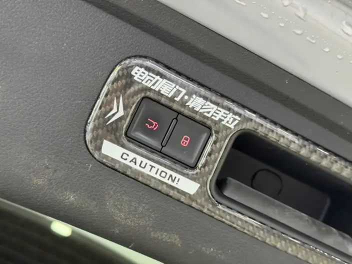 BYD Tang DM 2025 Model DM-i 115KM Zunrong Model – фото 8