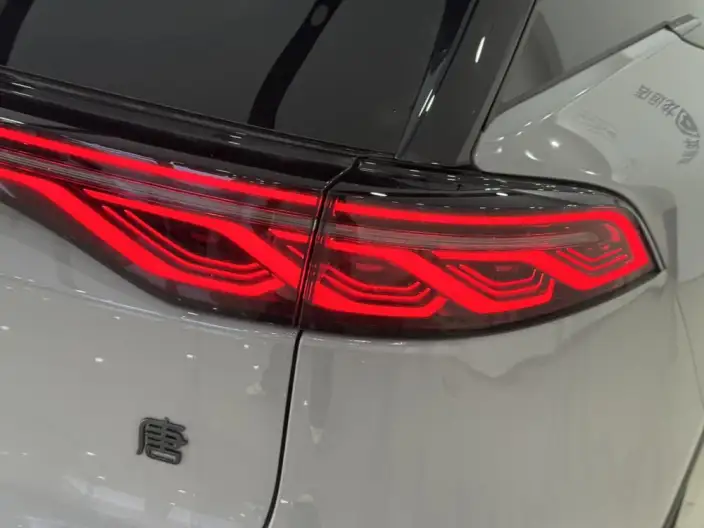 BYD Tang DM 2025 Model DM-i 115KM Zunrong Model – фото 10