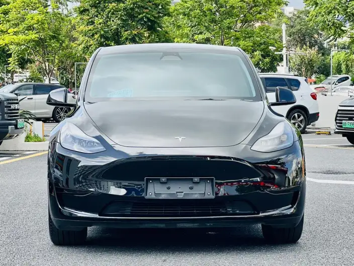 Model Y 2022 Model Facelift Rear-wheel drive version