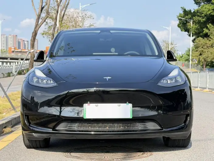 Model Y 2022 Model Facelift Rear-wheel drive version