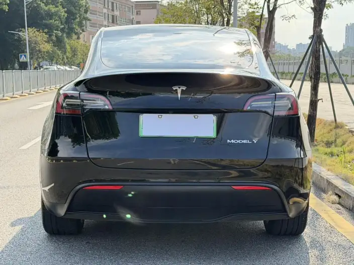 Model Y 2022 Model Facelift Rear-wheel drive version – фото 6