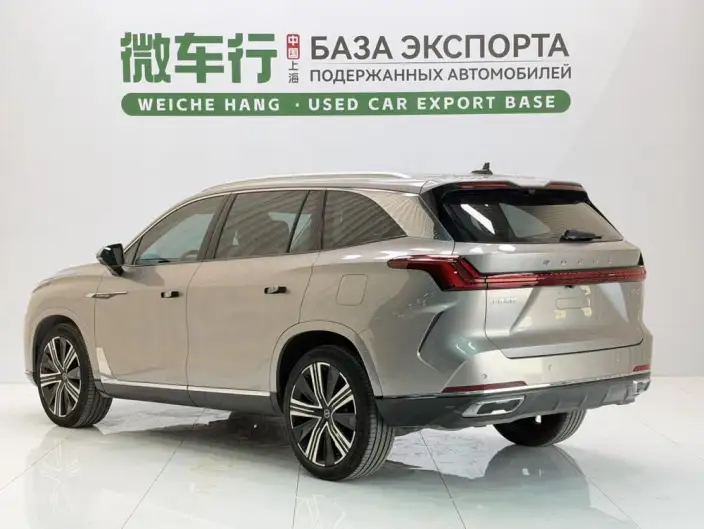 Roewe RX9 2023 Model 2.0TGI 4WD Exclusive Edition – фото 4