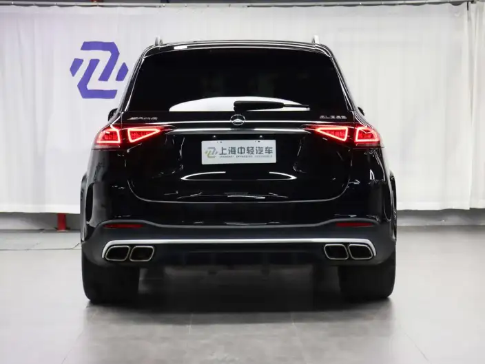 Mercedes-Benz GLE AMG 2023 Model AMG GLE 53 4MATIC+ 55th Anniversary Memorial Edition – фото 3