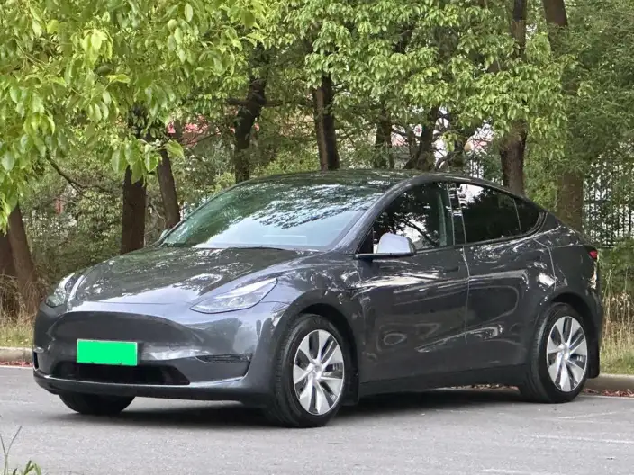 Model Y 2021 Model Standard Battery Life Rear-wheel drive version