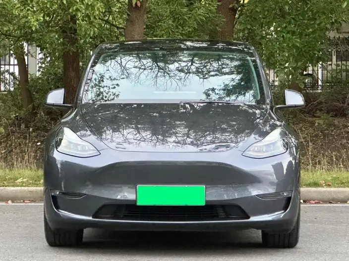 Model Y 2021 Model Standard Battery Life Rear-wheel drive version