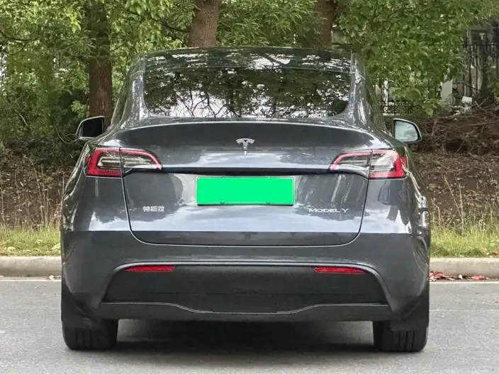 Model Y 2021 Model Standard Battery Life Rear-wheel drive version