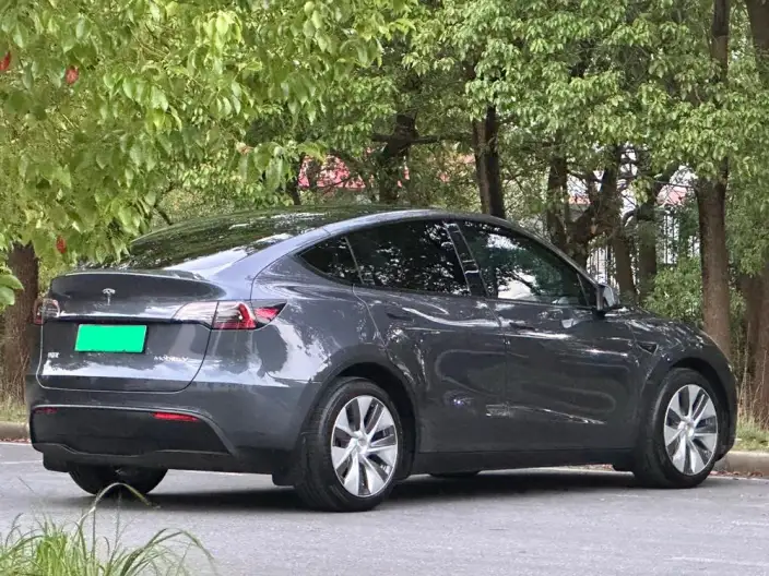 Model Y 2021 Model Standard Battery Life Rear-wheel drive version