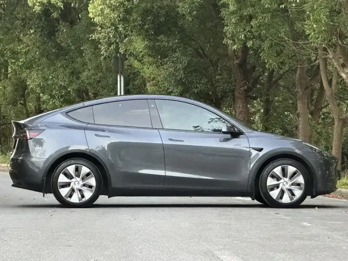 Model Y 2021 Model Standard Battery Life Rear-wheel drive version – фото 5